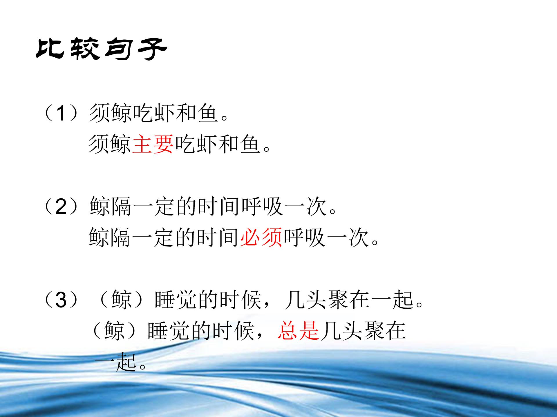 鲸ppt课件完美版