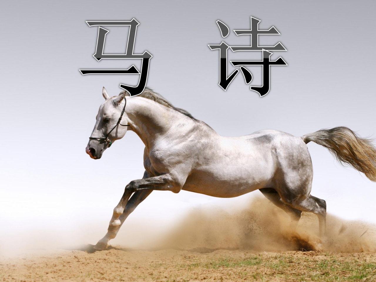 马诗课件ppt模板