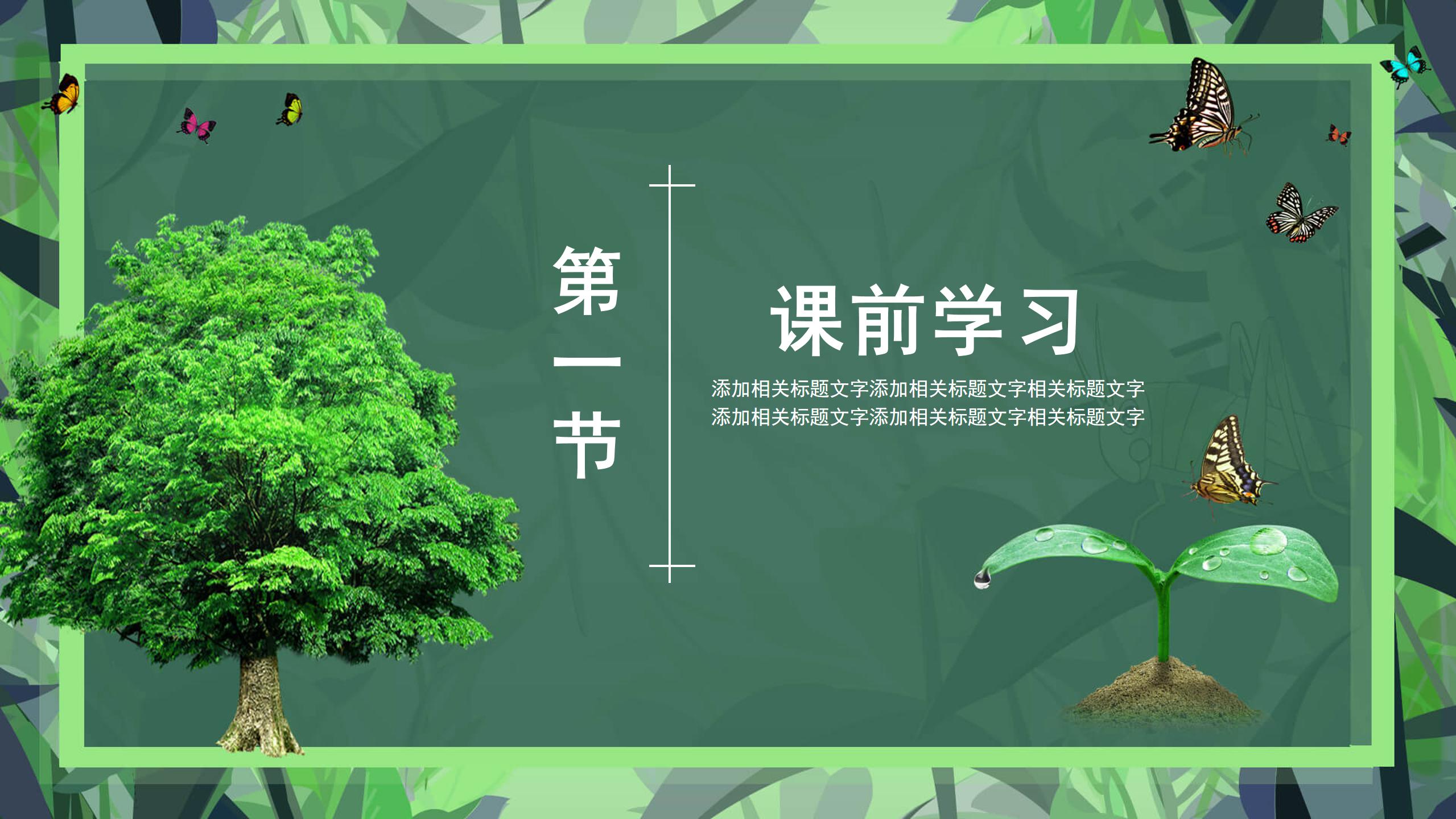 小鸟和大树ppt模板