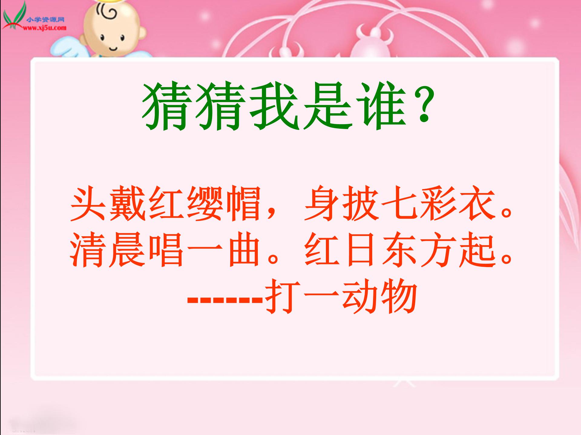 快乐的小公鸡ppt模板