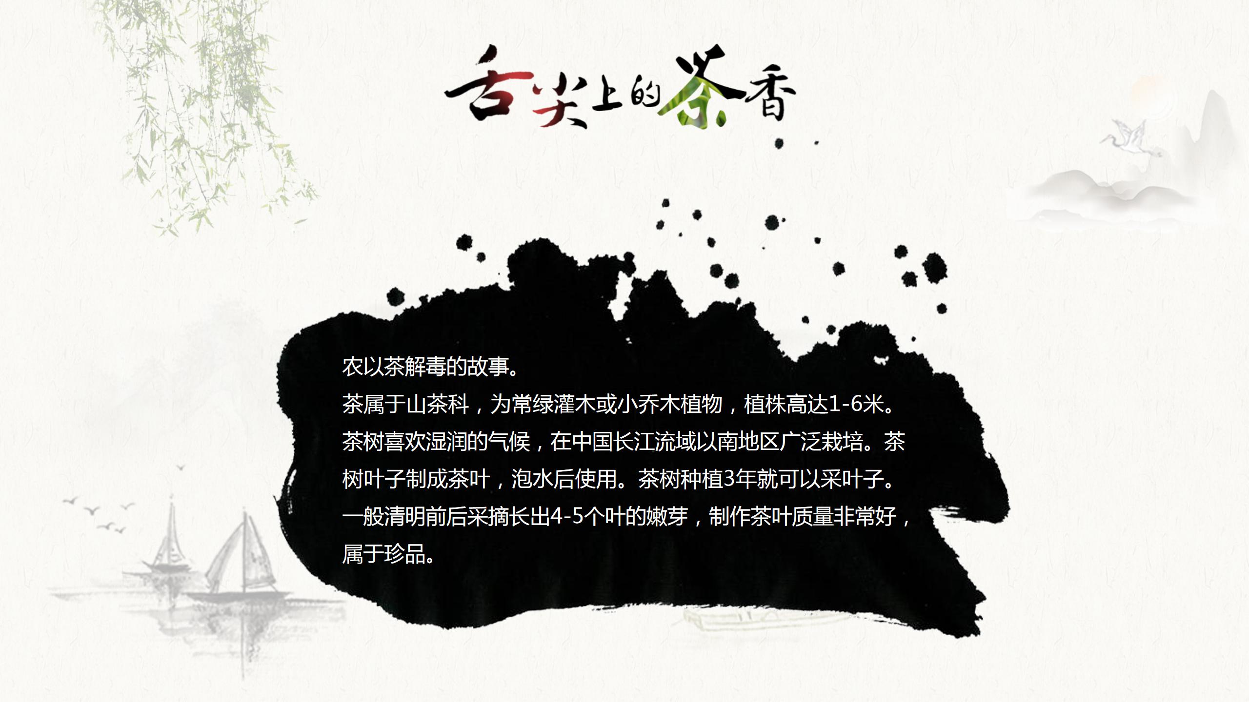 茶文化介绍ppt模板