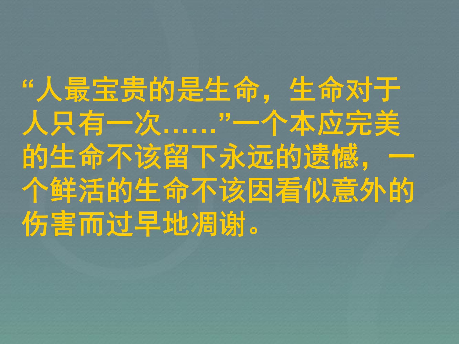自我保护，安全防护班会ppt模板