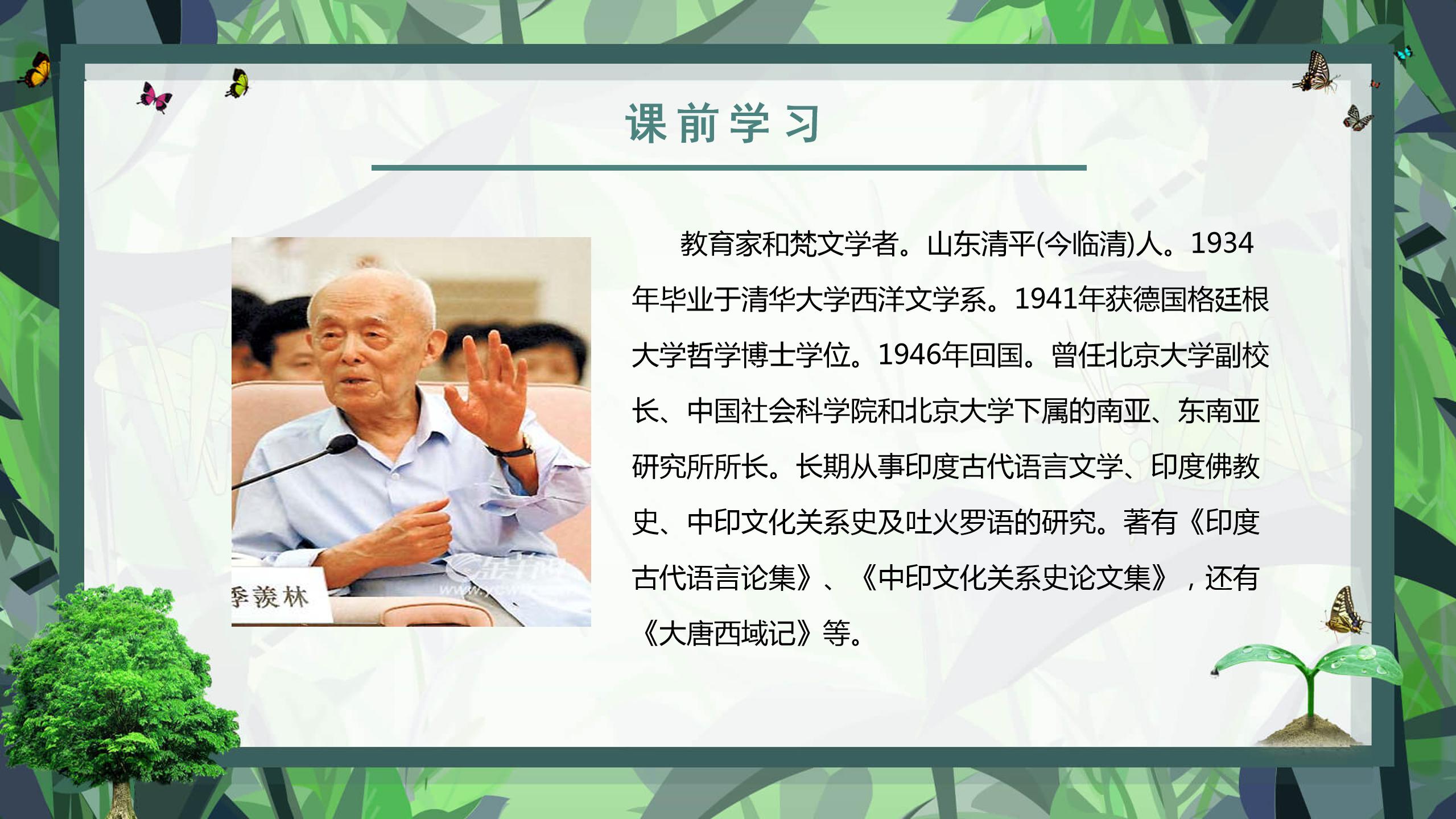 小鸟和大树ppt模板