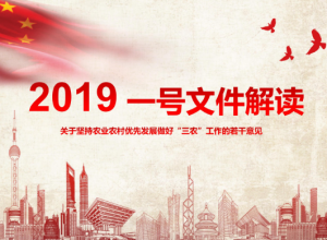 2019关于坚持农业农村优先发展做好三农工作ppt模板
