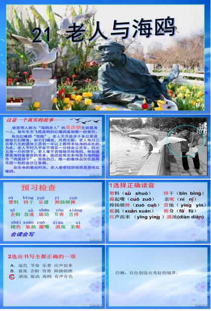 老人与海鸥ppt模板