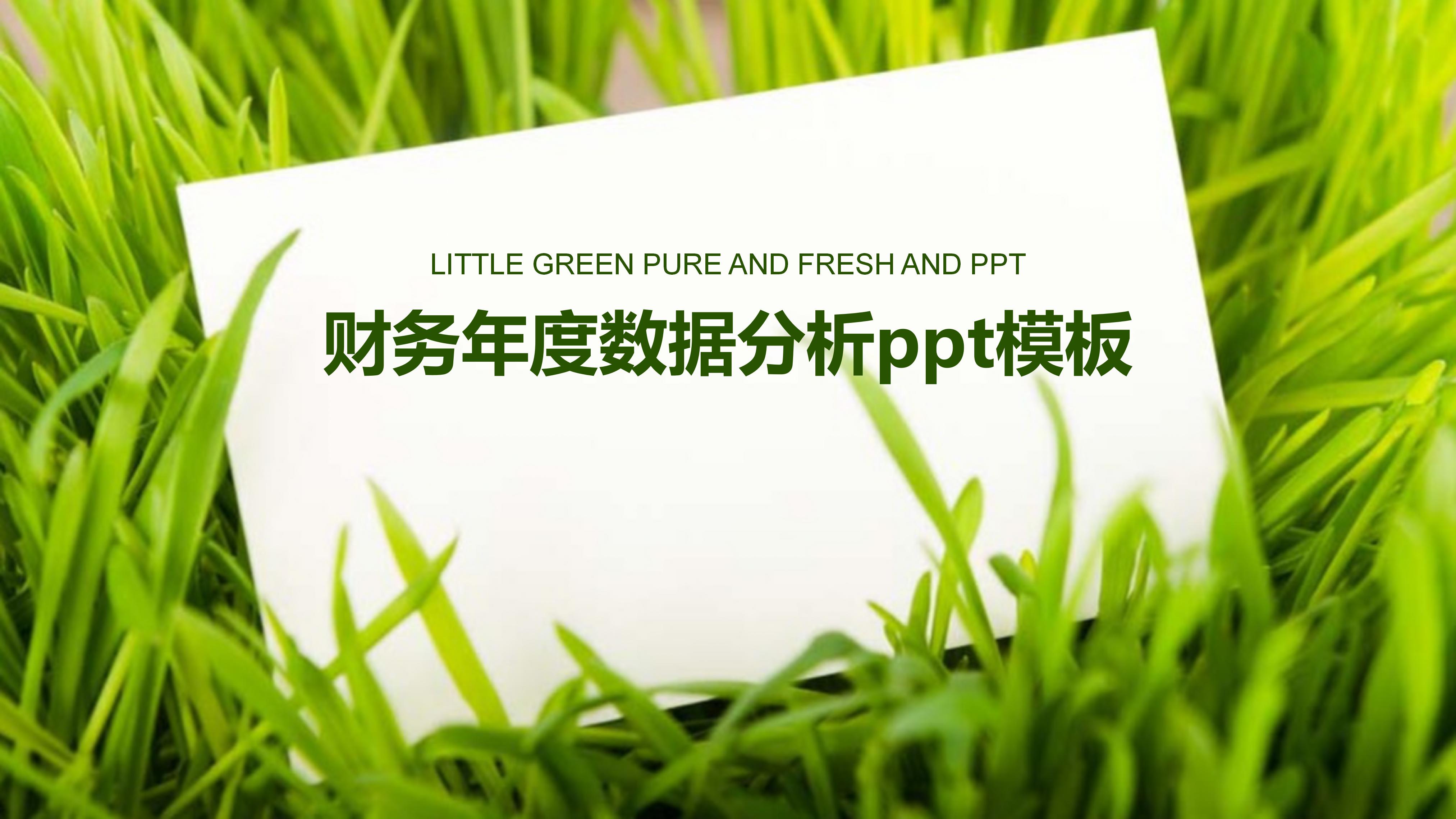 财务年度数据分析ppt模板
