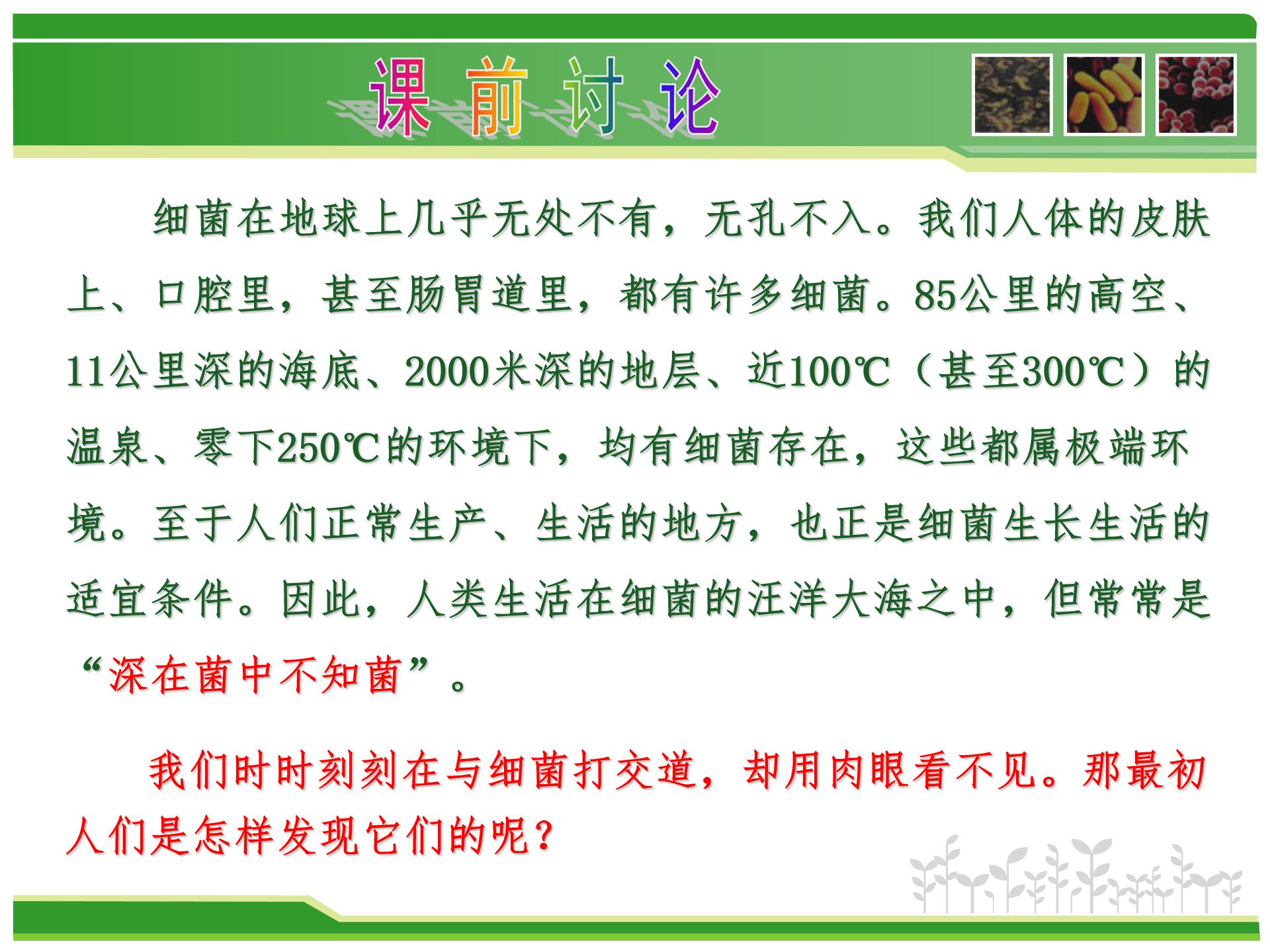 细菌课件人教版ppt模板