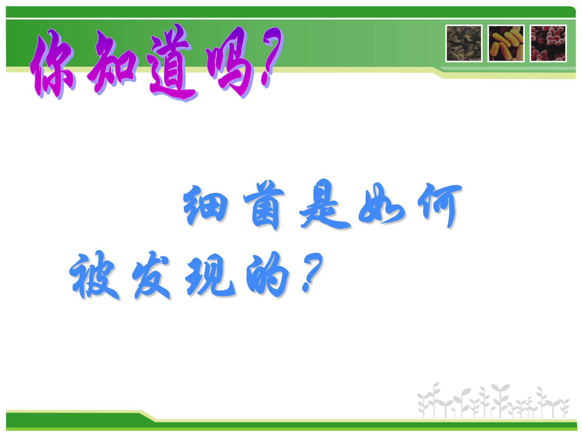 细菌课件人教版ppt模板