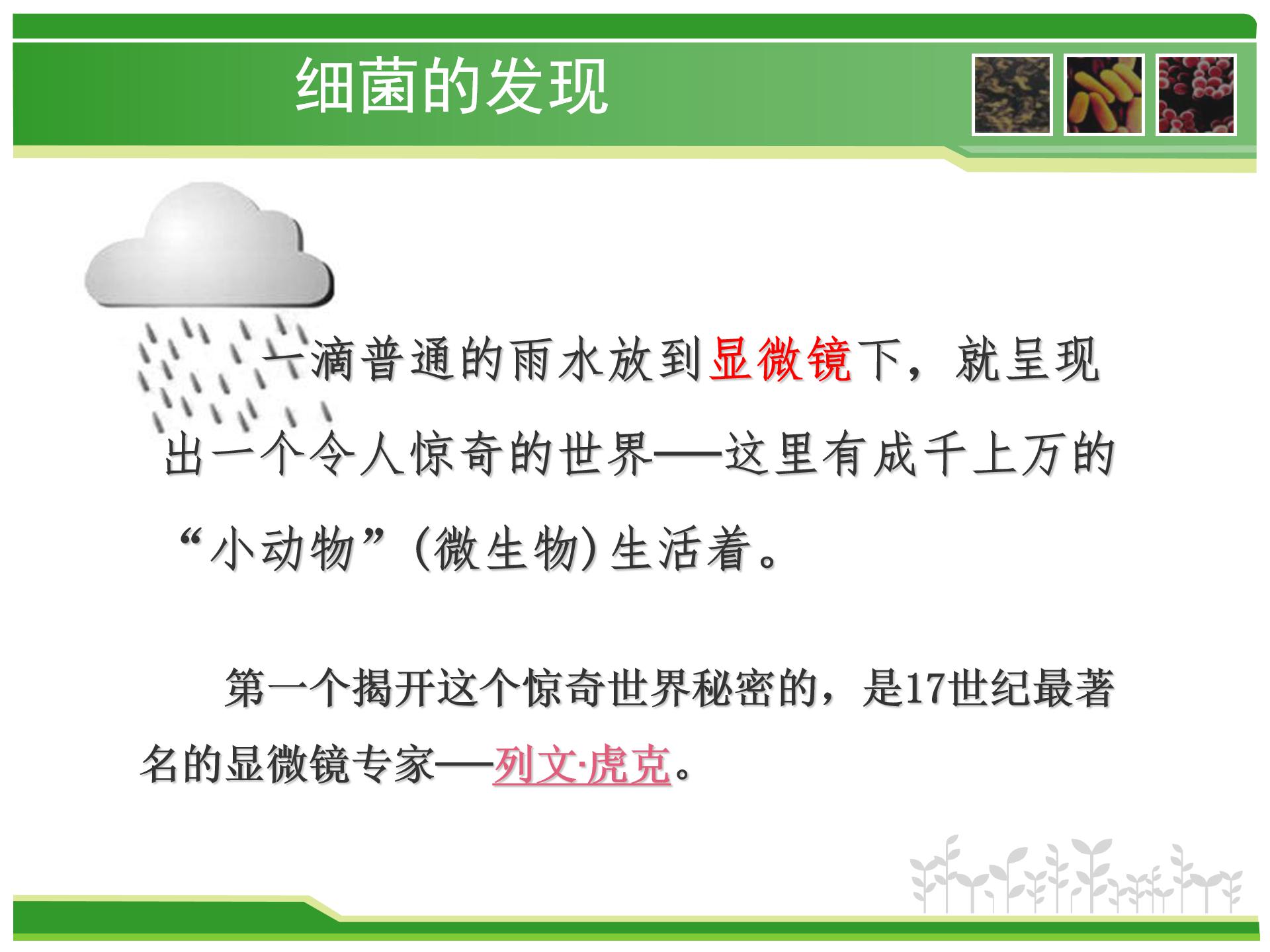 细菌课件人教版ppt模板