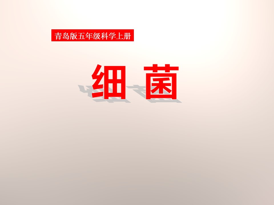 细菌课件青岛版ppt模板