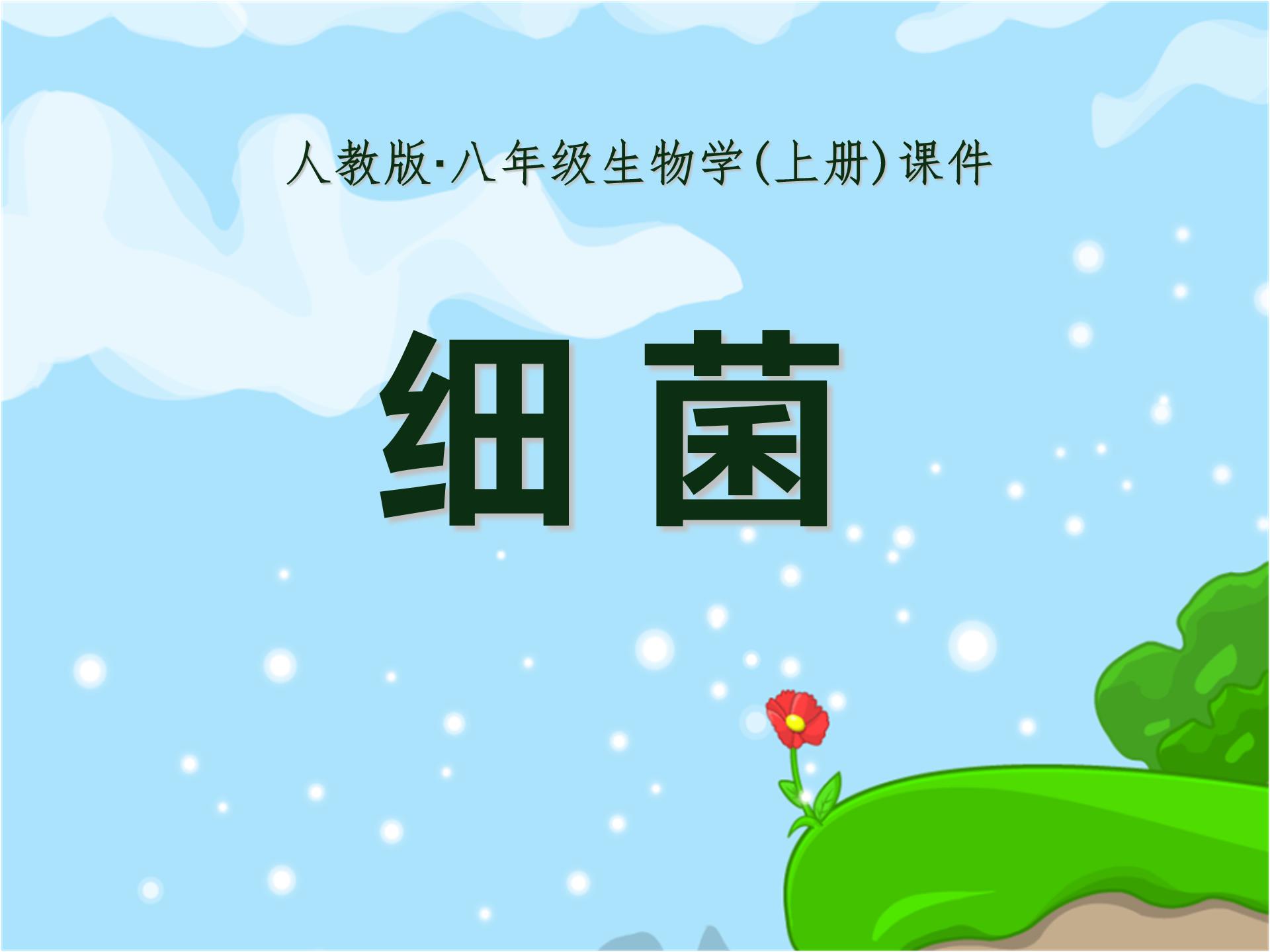 细菌课件人教版ppt模板