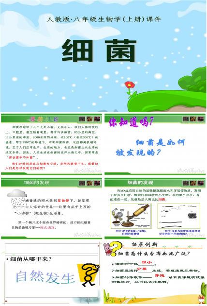 细菌课件人教版ppt模板