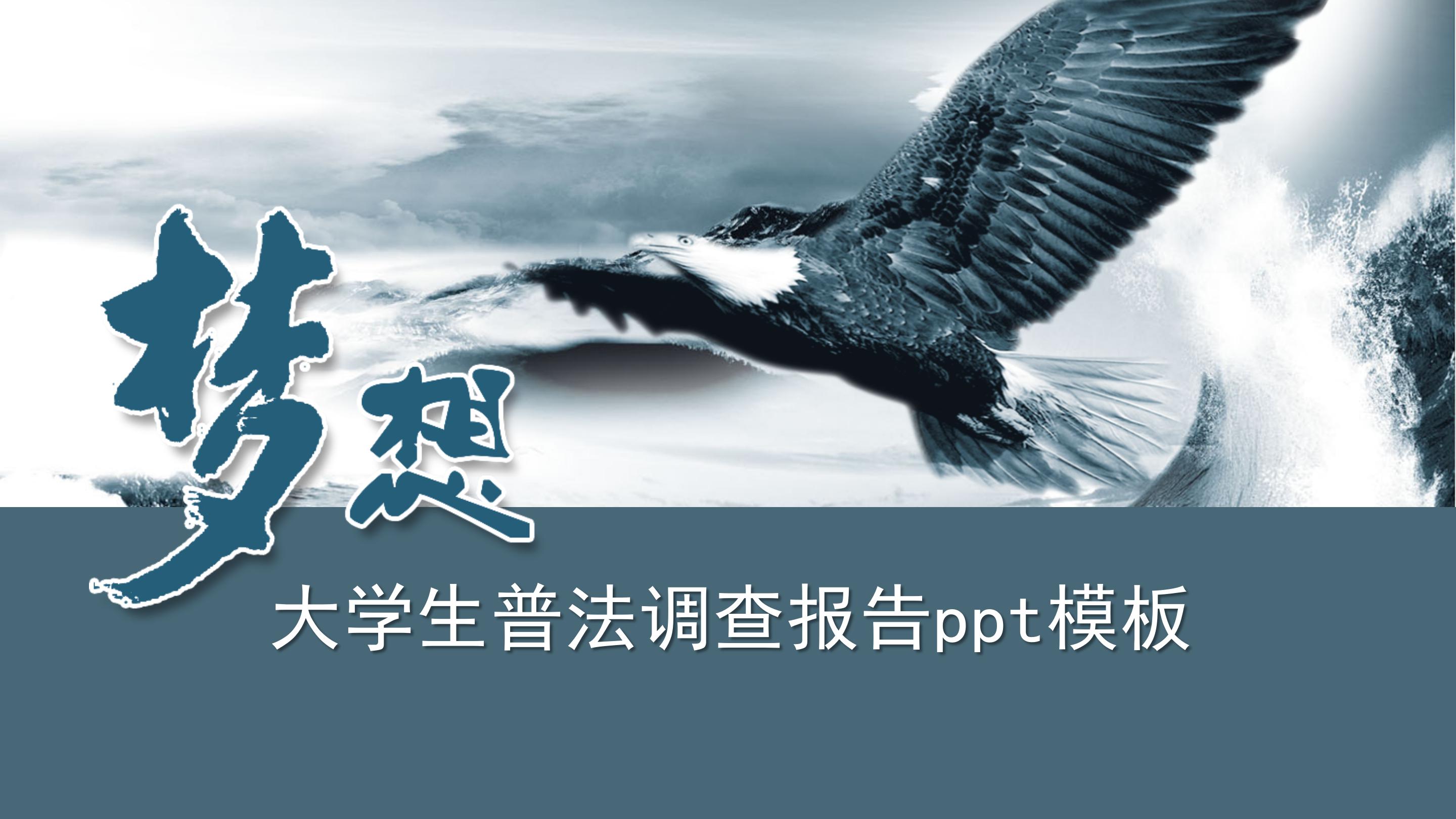 大学生普法调查报告ppt模板