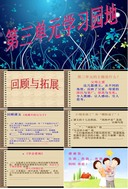 语文复习ppt课件