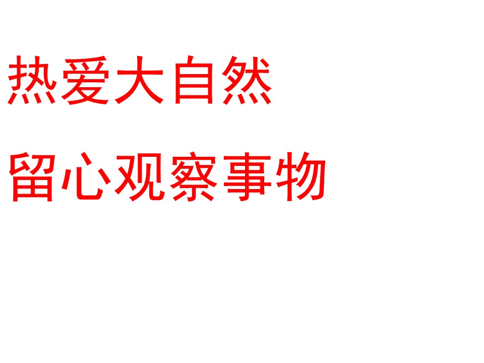 金色的草地语文课件ppt模板