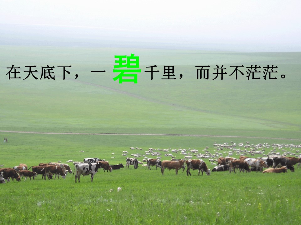 草原课件ppt模板