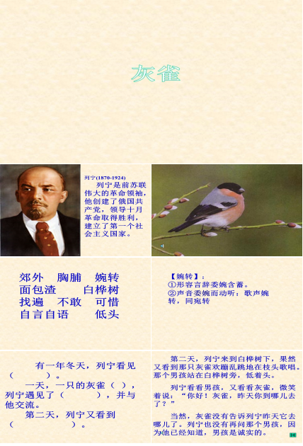 灰雀课件ppt模板