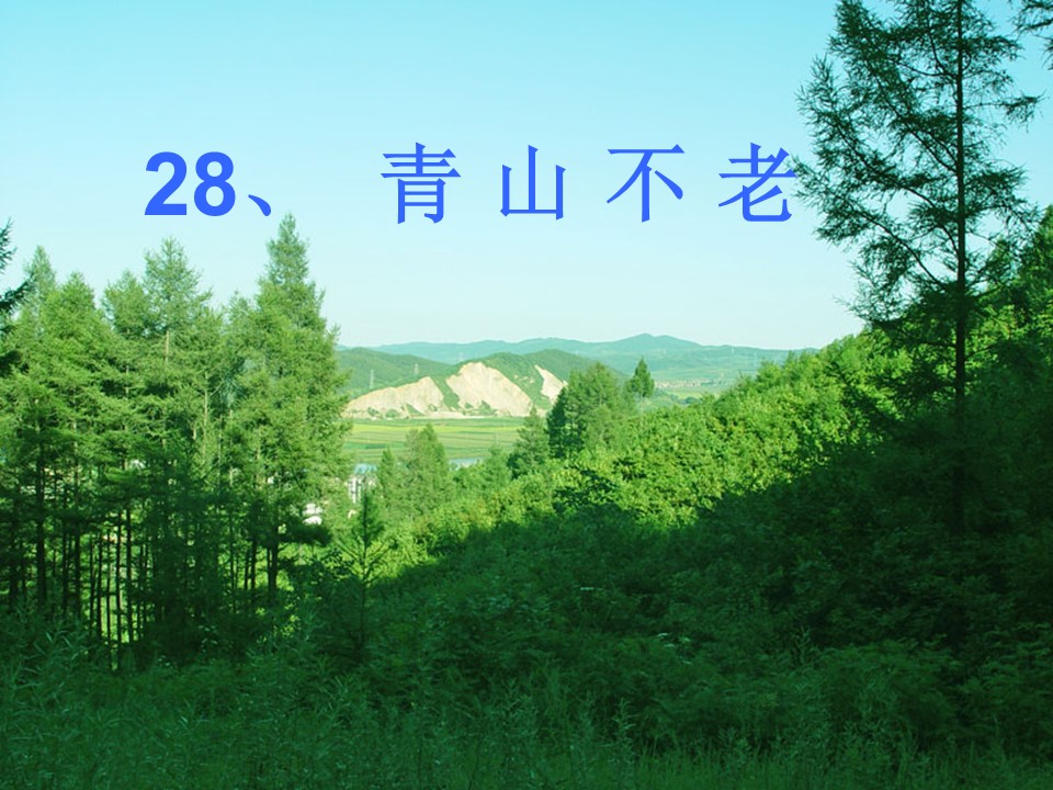 青山不老ppt课件模板