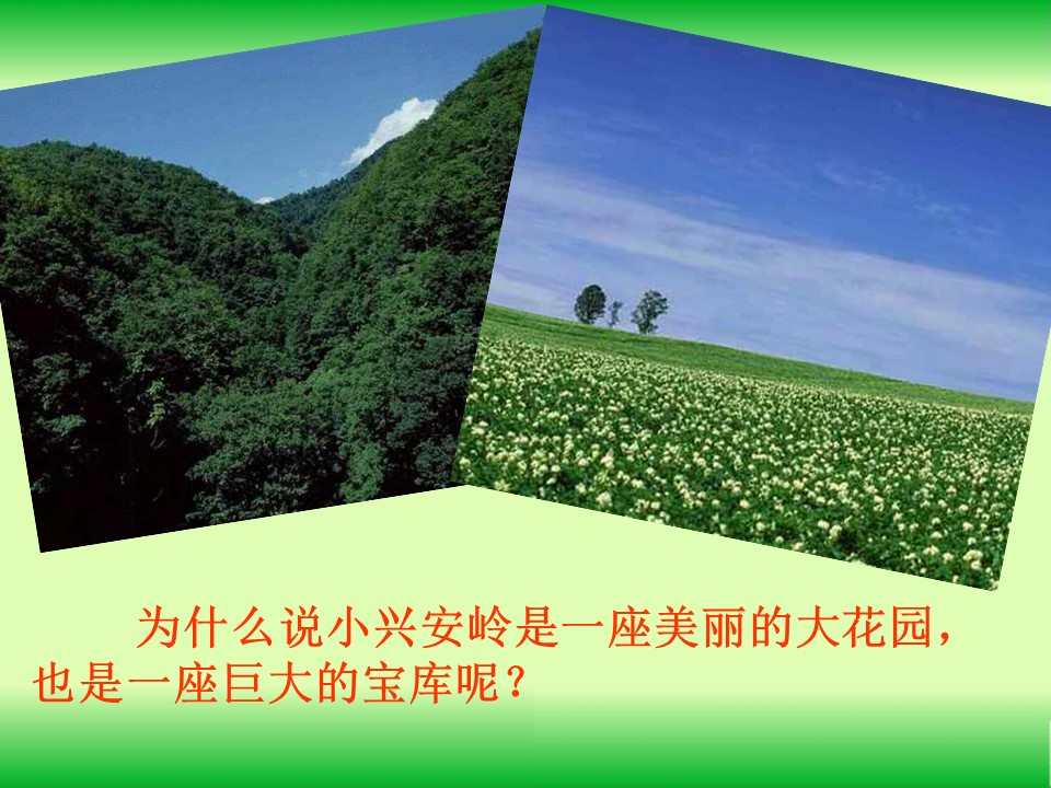 美丽的小兴安岭课件ppt模板