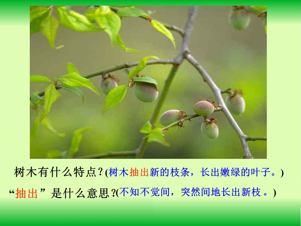 美丽的小兴安岭课件ppt模板