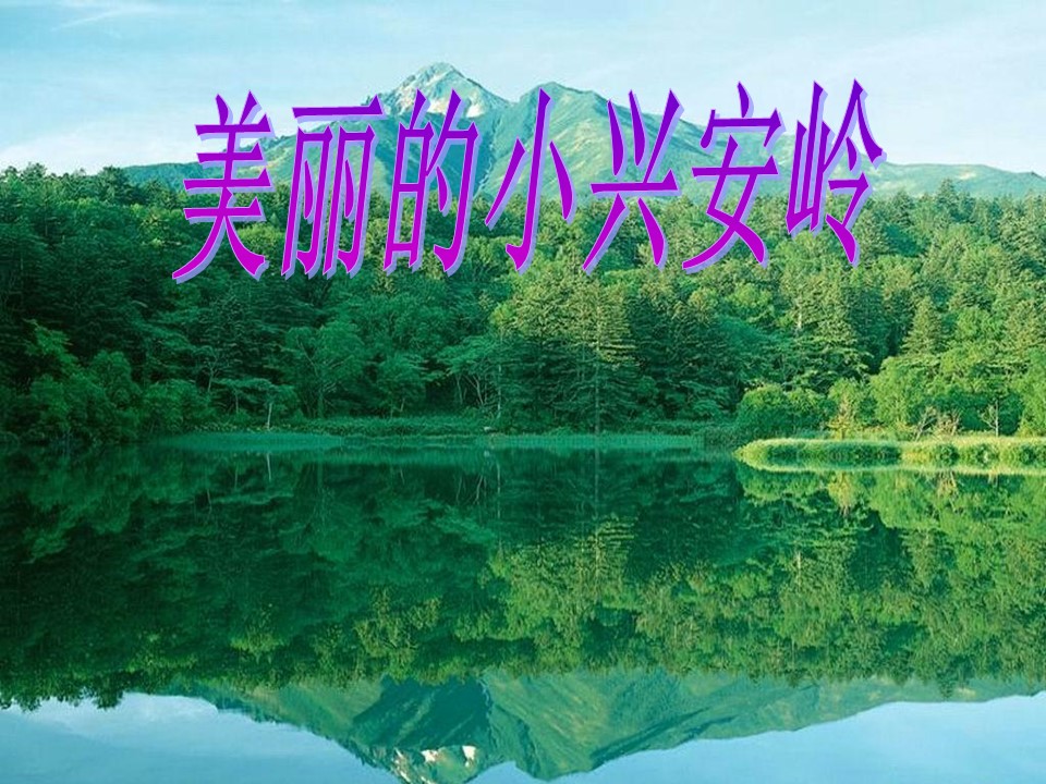 美丽的小兴安岭ppt课件