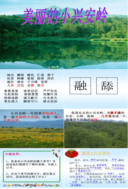 美丽的小兴安岭ppt课件
