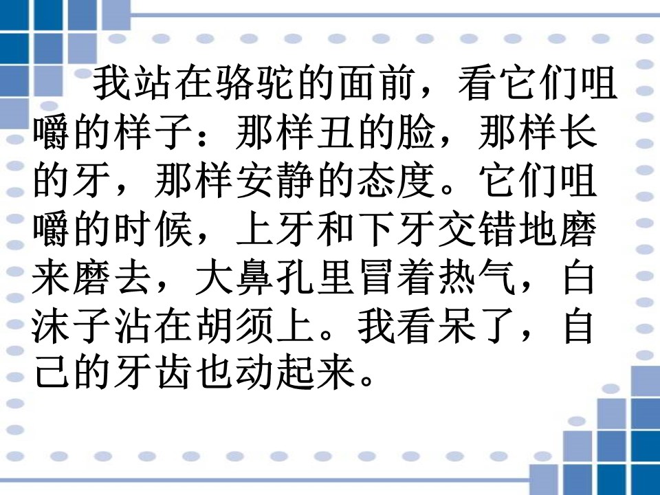 22冬阳.童年.骆驼队ppt模板