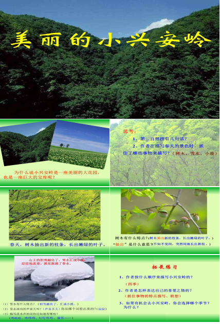 美丽的小兴安岭课件ppt模板