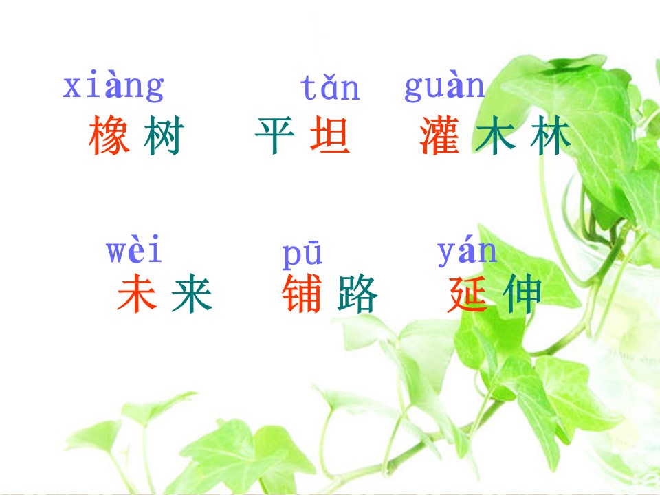 路旁的橡树课件ppt模板