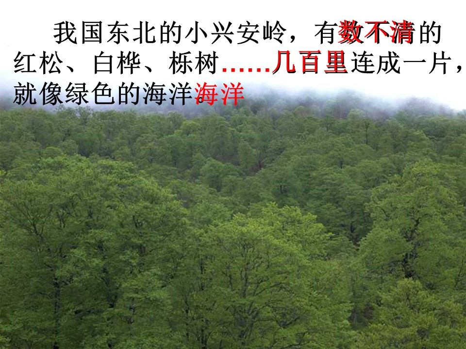 美丽的小兴安岭ppt课件