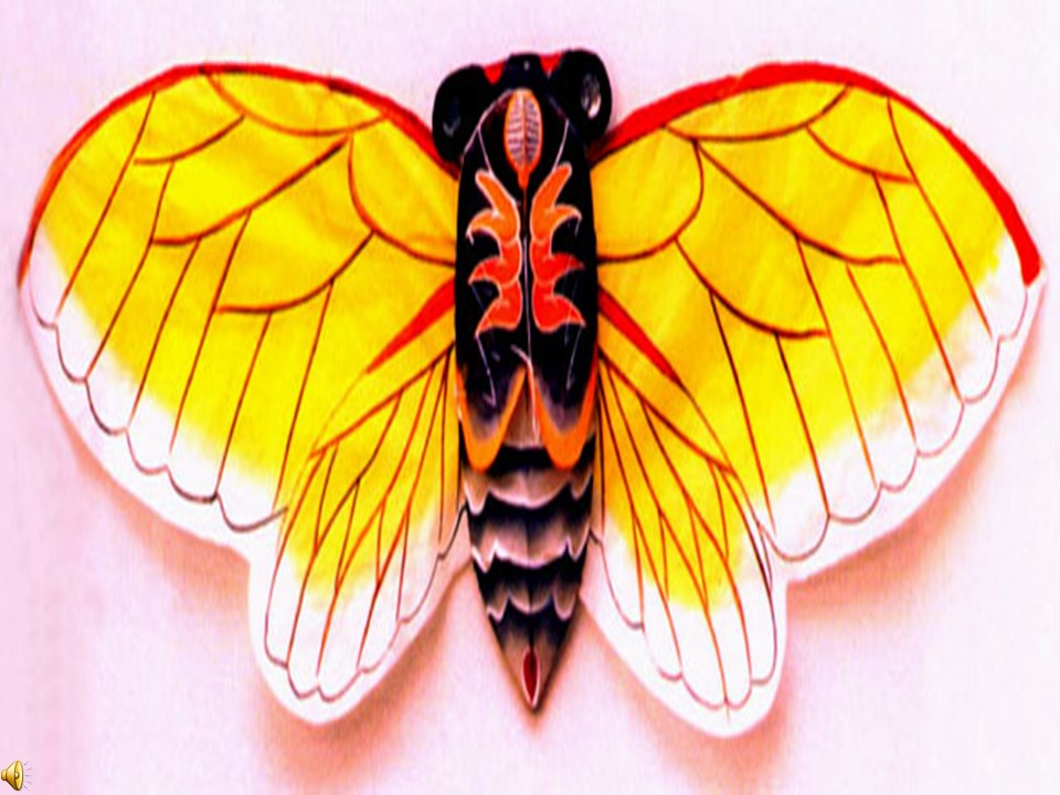 风筝ppt课件模板