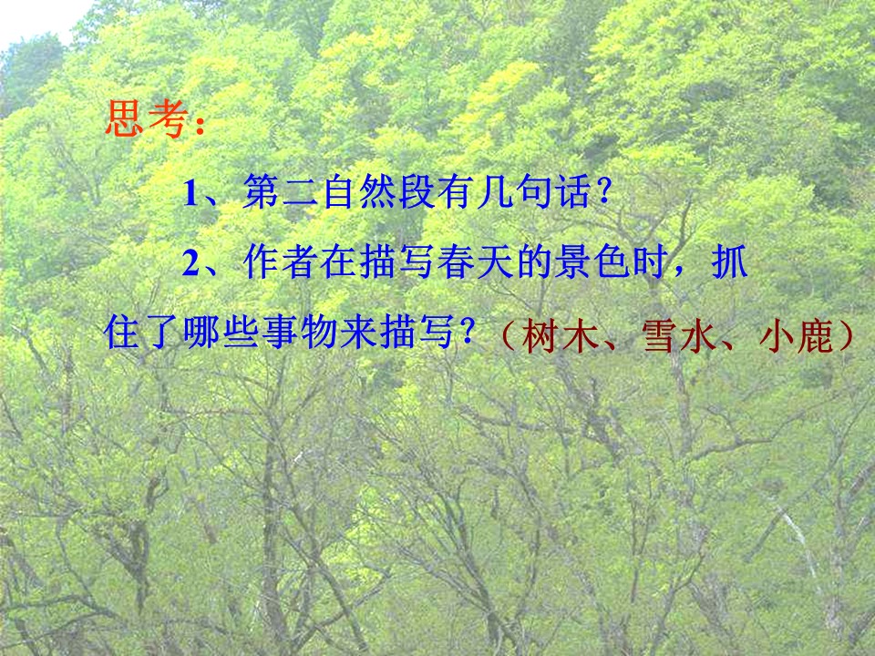 美丽的小兴安岭课件ppt模板