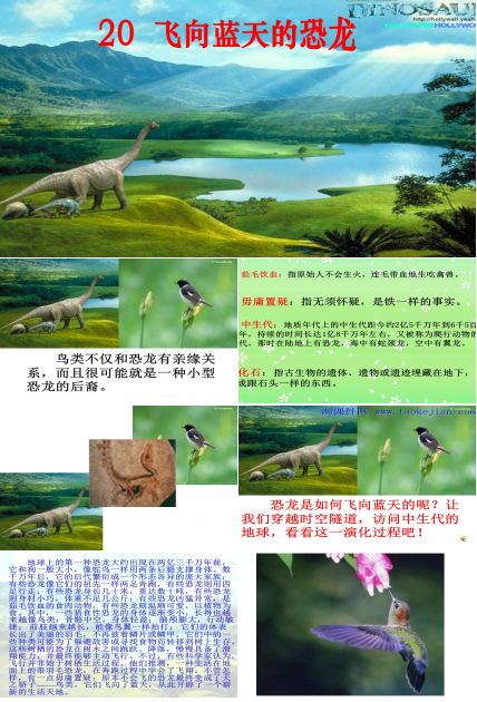 飞向蓝天的恐龙ppt课件