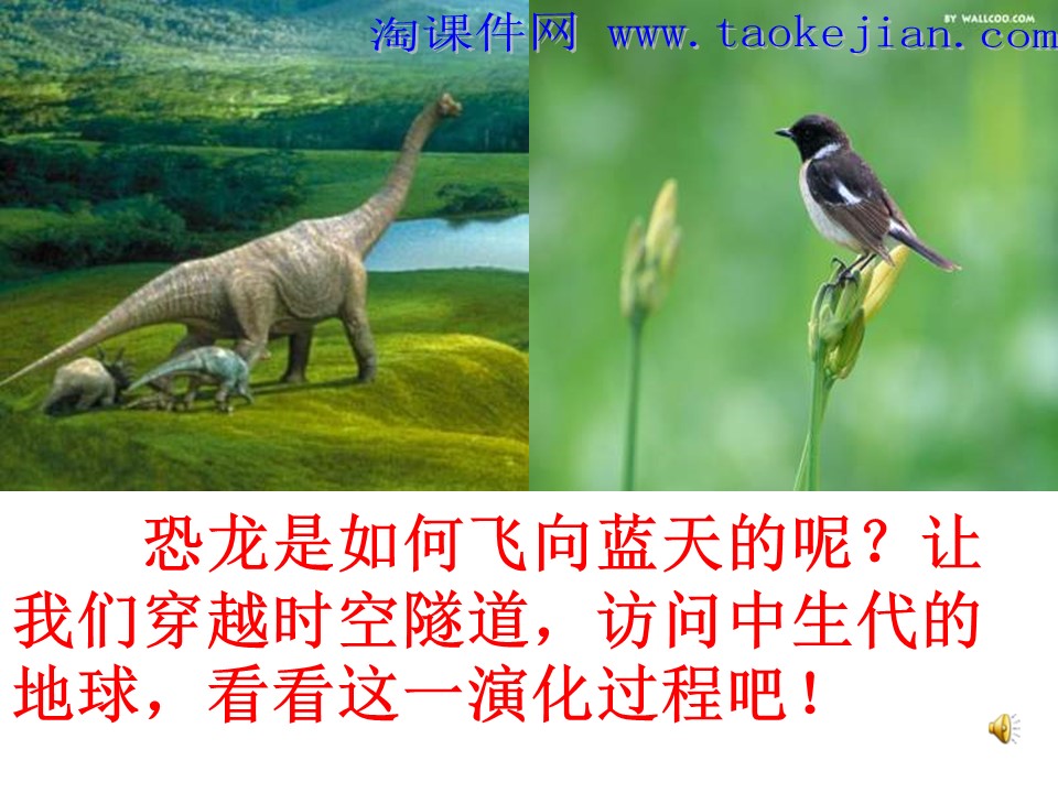 飞向蓝天的恐龙ppt课件