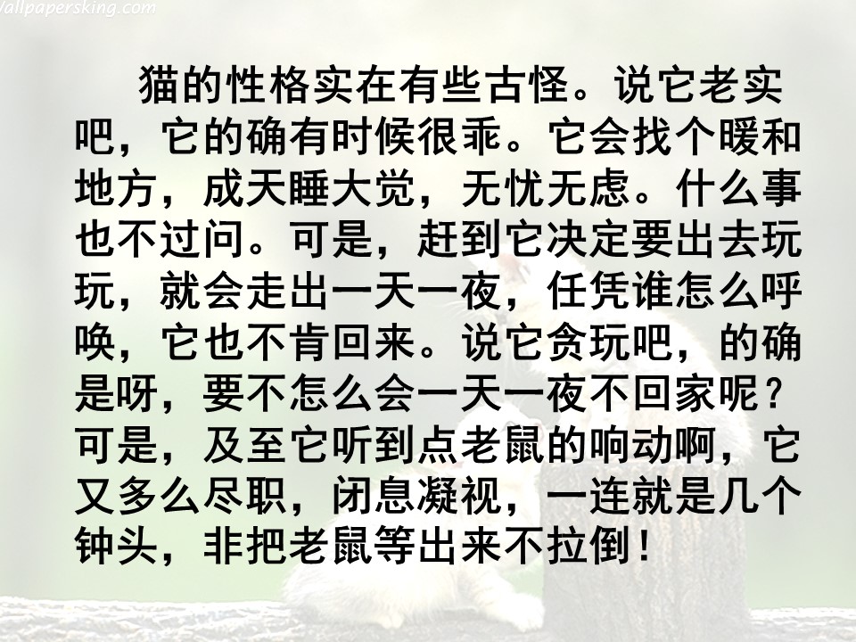 卡罗尔和她的小猫课件ppt模板