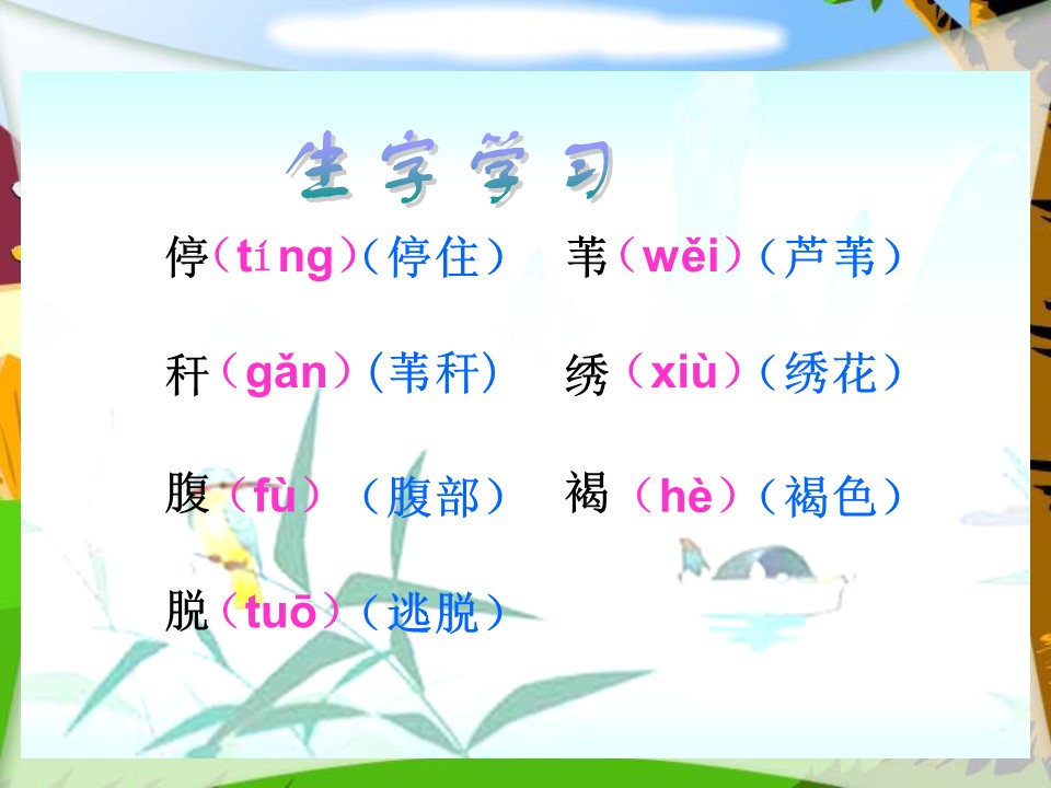 翠鸟ppt课件