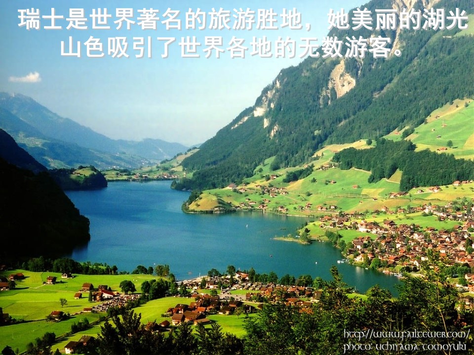 三年级上册语文燕子专列课件ppt模板