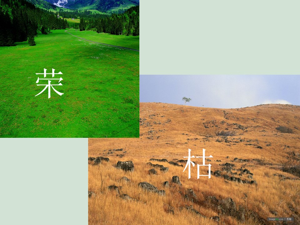 二年级下古诗两首课件ppt模板