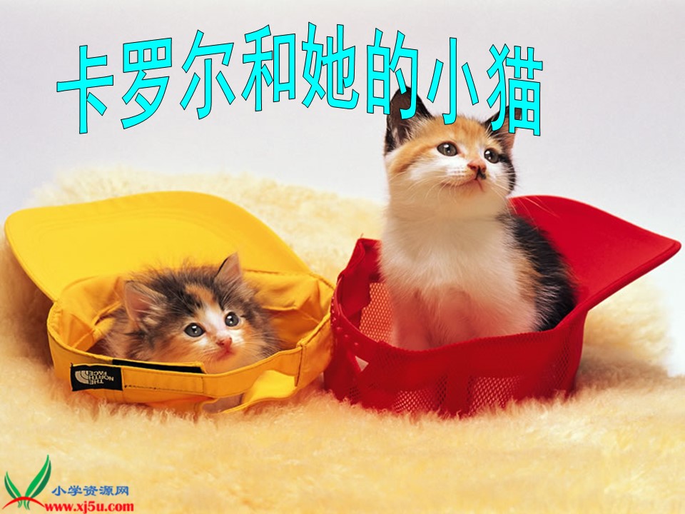 卡罗尔和她的小猫课件ppt模板