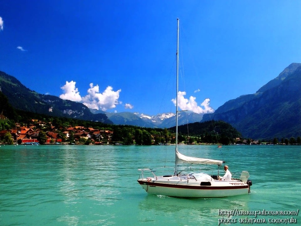 三年级上册语文燕子专列课件ppt模板