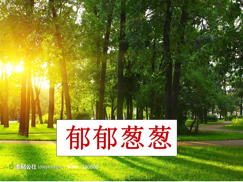 三年级上语文一个小村庄的故事 课件ppt模板