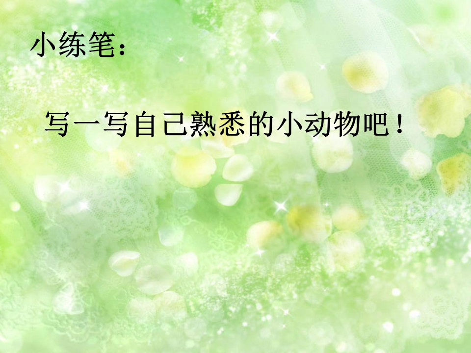 翠鸟课件ppt模板