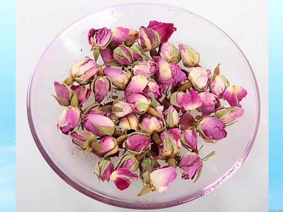 小鹿的玫瑰花ppt模板