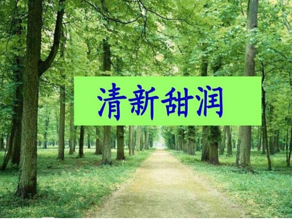 三年级上语文一个小村庄的故事 课件ppt模板