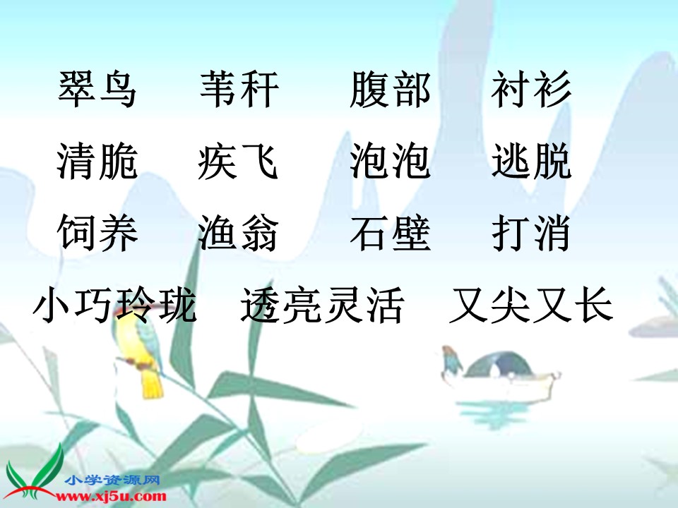 翠鸟课件ppt模板