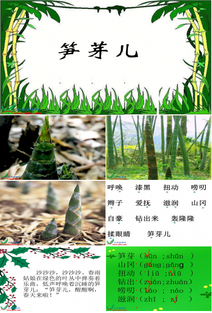 语文课件笋芽儿ppt模板