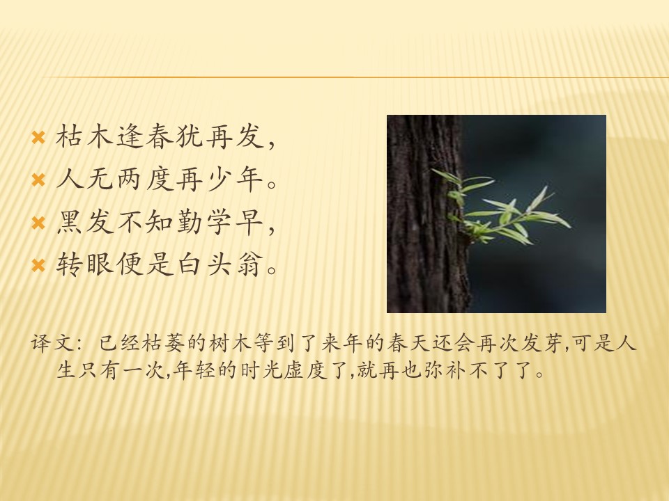 增广贤文ppt课件