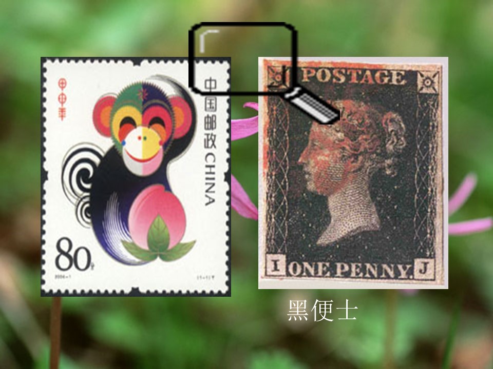 邮票齿孔的故事ppt模板