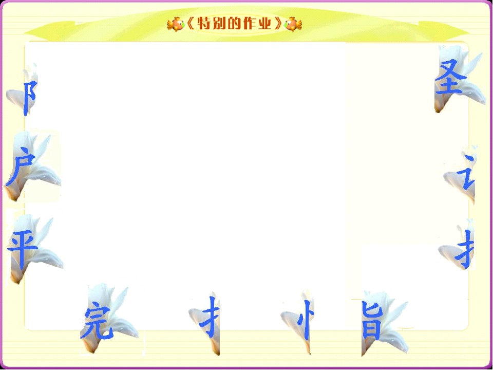 特别的作业课件ppt