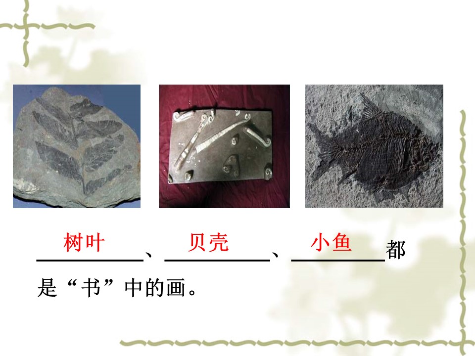小学生语文最大的书课件ppt模板